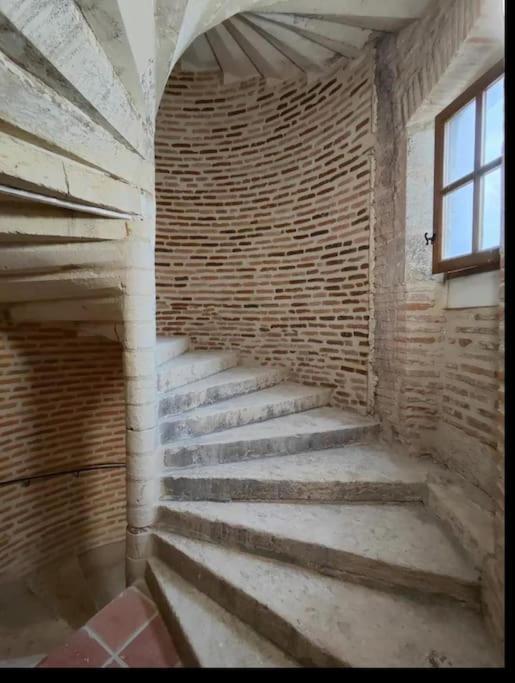 Tour Medievale Unesco Albi Buitenkant foto